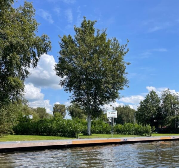 Eiland aan de doorvaart - Afbeelding 4