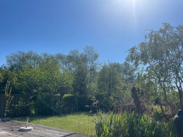Rustig gelegen eiland - Afbeelding 6