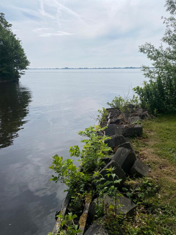 Ruim eiland aan de grote poel! - Afbeelding 4